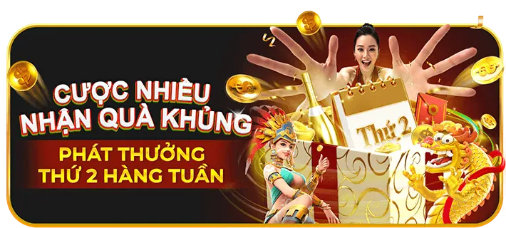 Hoàn trả cược d368
