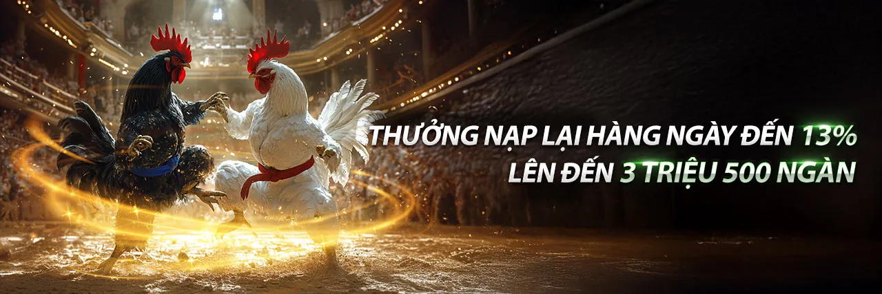 Giao diện cá cược đá gà d368